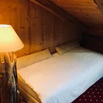Le Coin Savoyard 3*