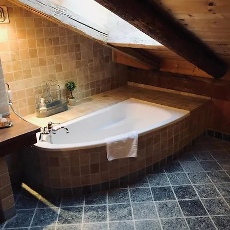 Le Coin Savoyard Otel 3*